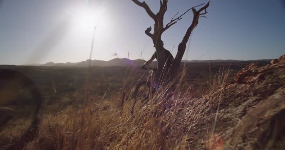 A female and male offroad cyclist climbing a rocky hill on their bikes on a sunny day