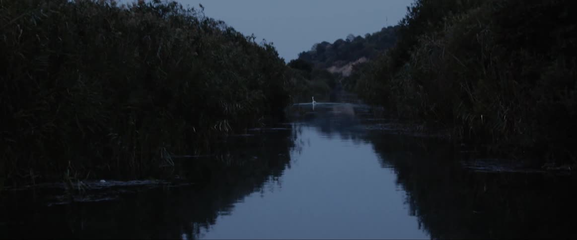 A river with trees with the sky in the background