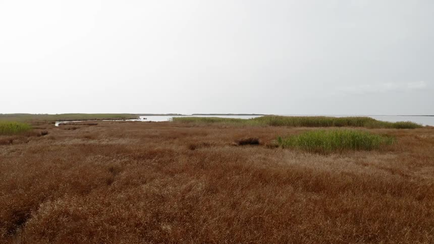 Drone footage of tidal marshland and streams