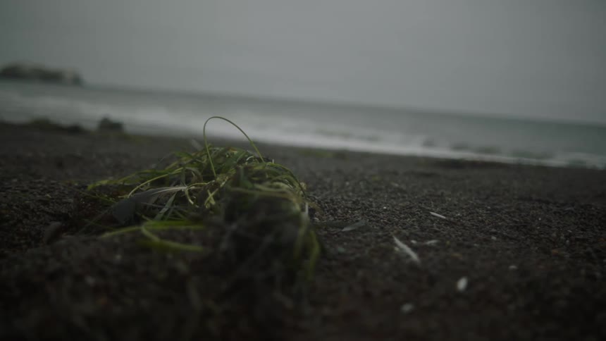 Water rolling in to the shore