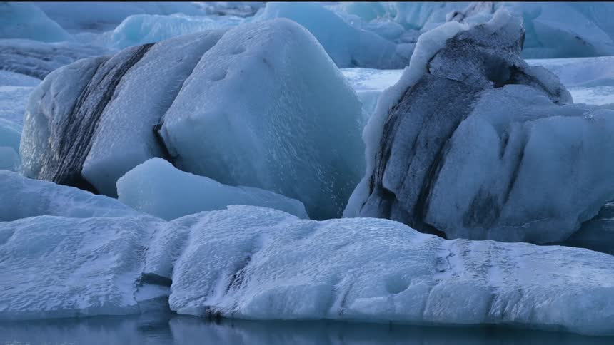 Snow is covering the arctic area