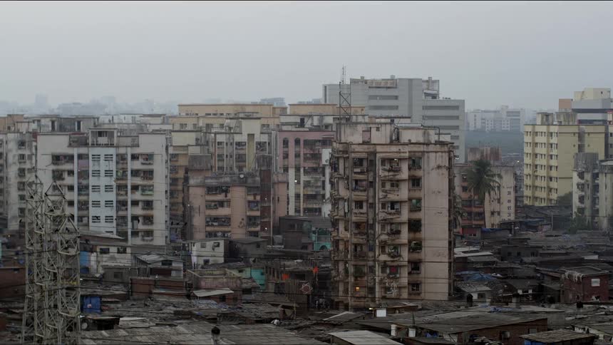 Birds fly near buildings in a city
