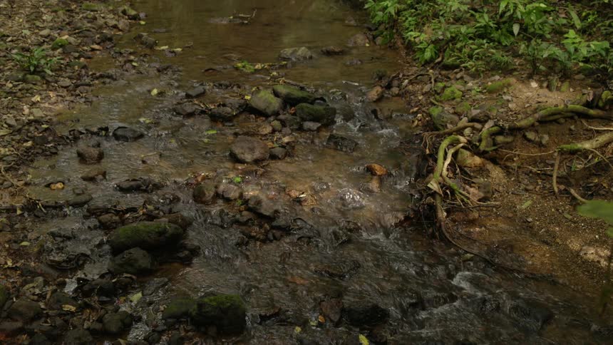 A small stream running over rocks
