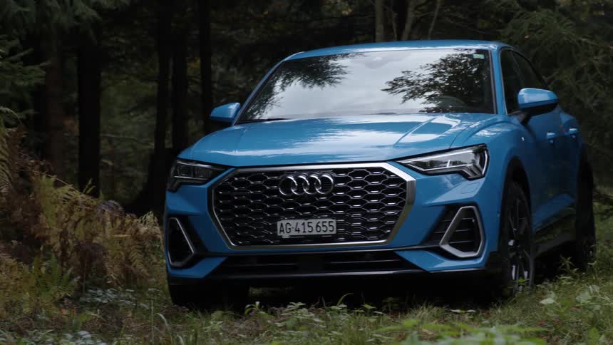 Blue car sits parked among forest trees