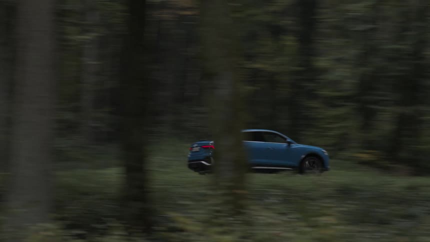 A car drives on a road alongside a forest