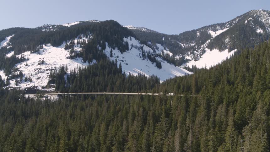 Vehicles drive on an elevated highway that travels through a mountain forest