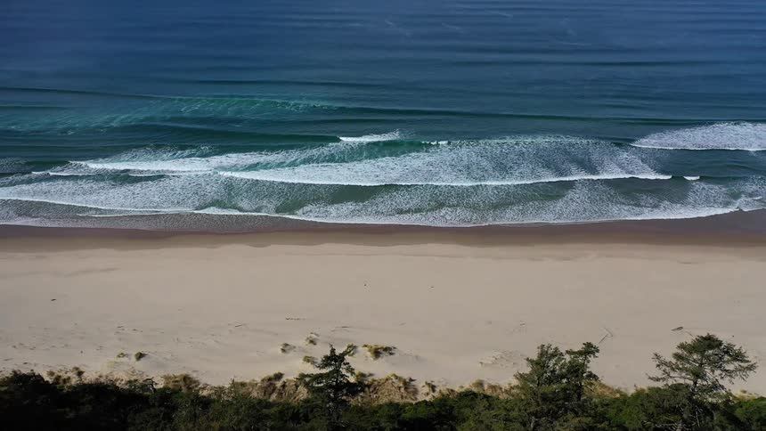 Waves crash on beach bordered by forest