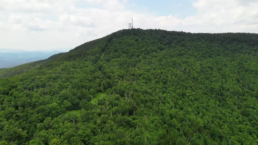 A hill covered with trees is displayed