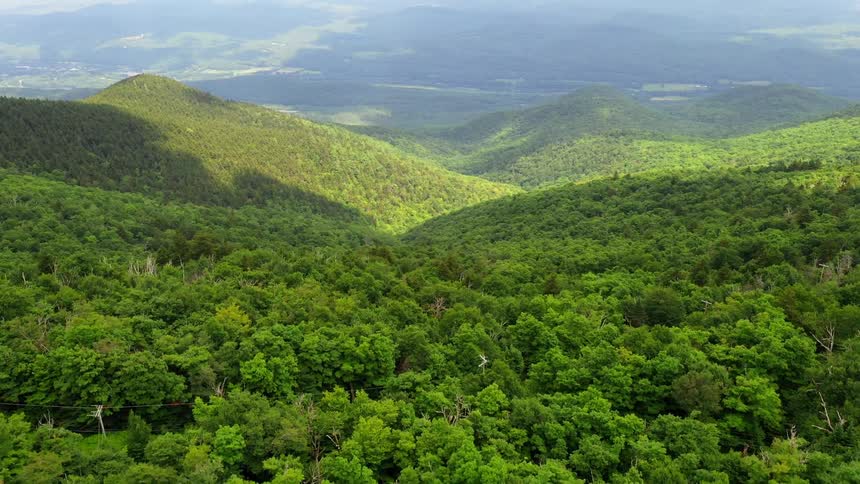 Tree covered hills
