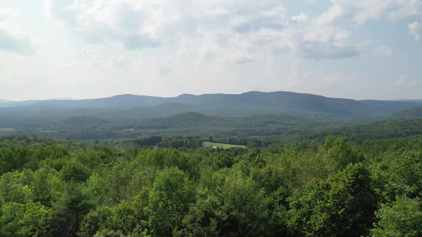 A pond with trees and mountains in the background