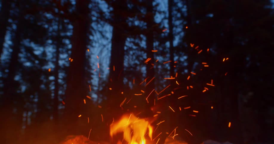 A camp fire burning with trees and the sky in the background
