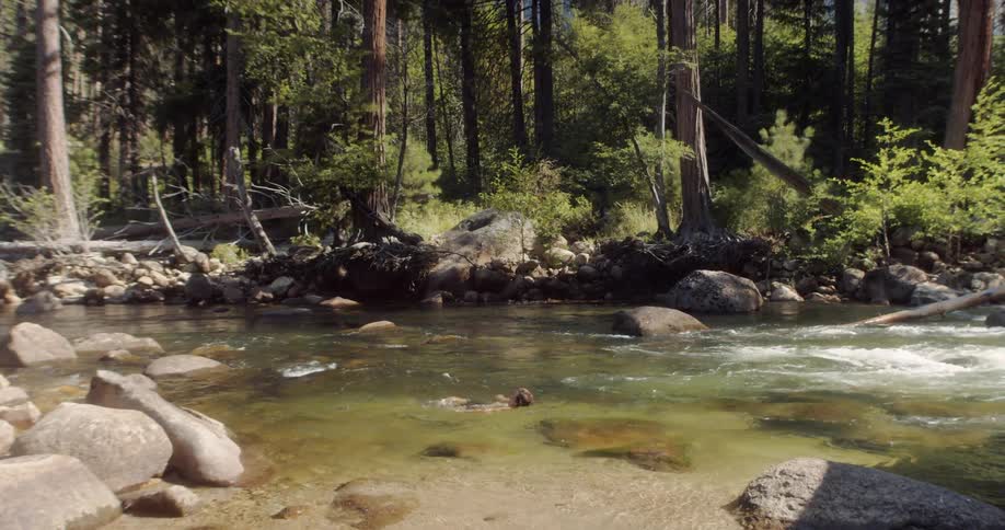 A young boy swims in a river