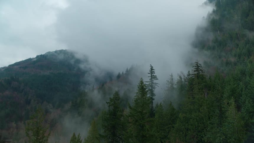 Clouds covering a forest area
