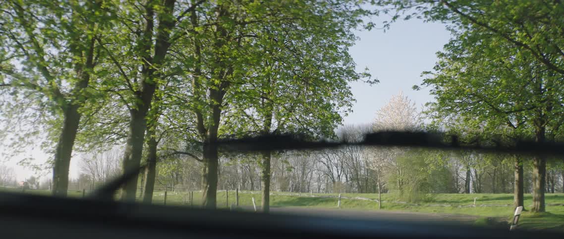 A car moves down a road lined with trees