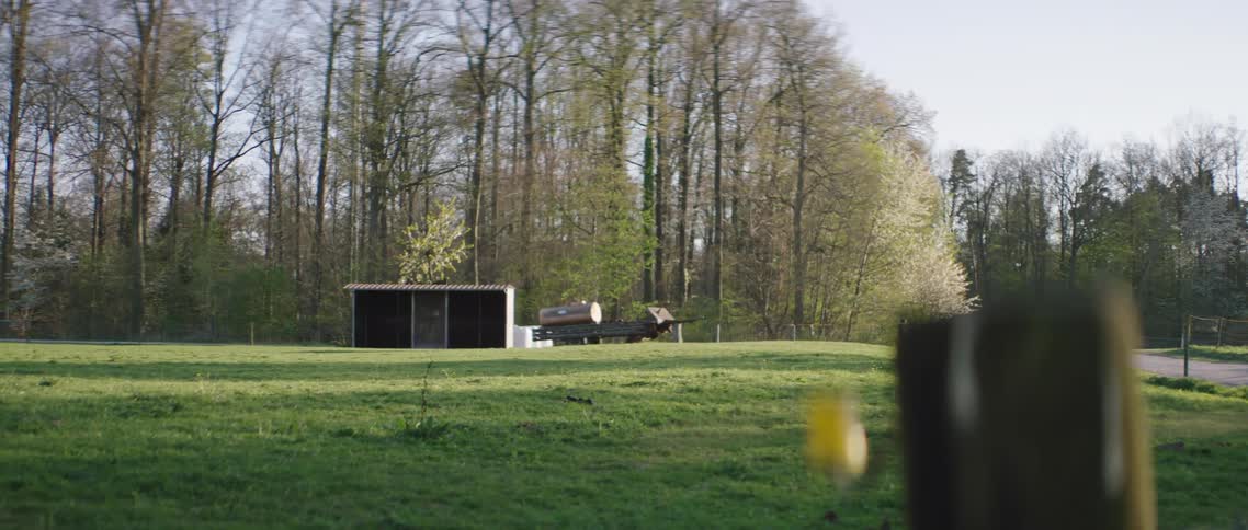 Small field with wire fence and small shed