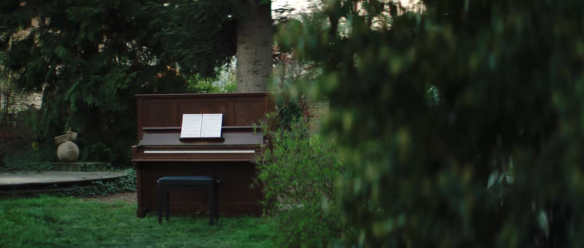 Pianola and bench standing in the lawn on a backyard