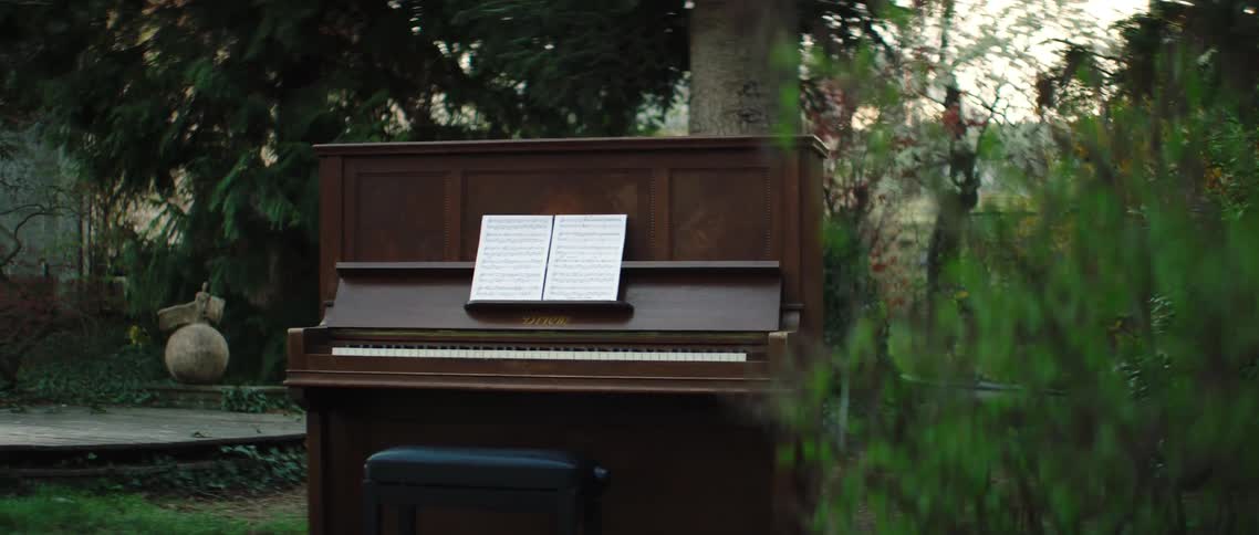 Piano sitting outdoors surrounded by trees