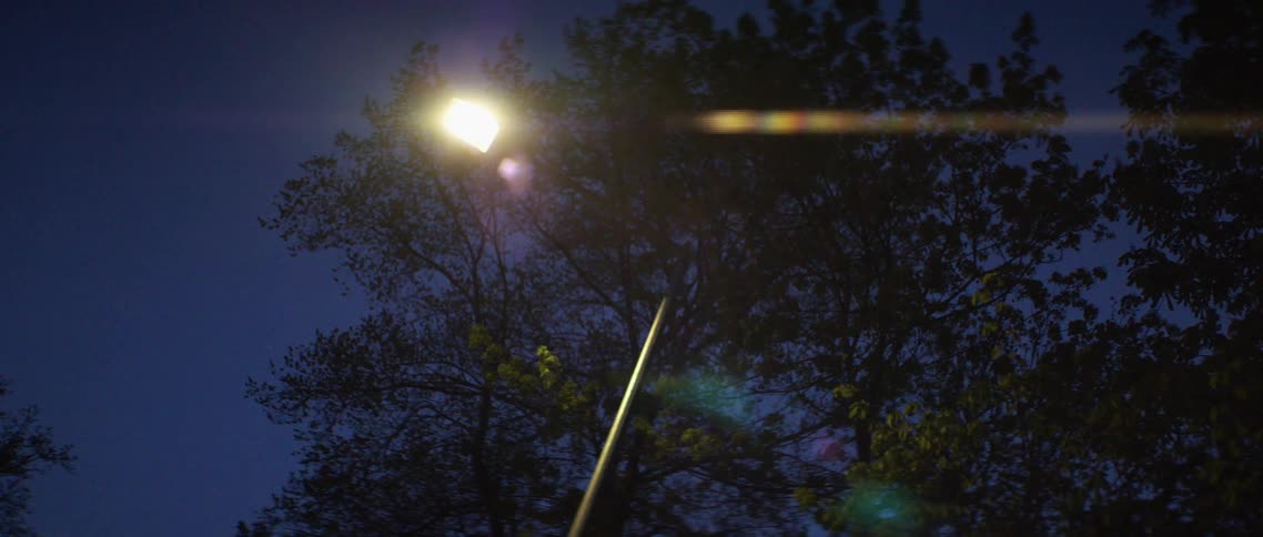 A street light near some trees is lit up at night