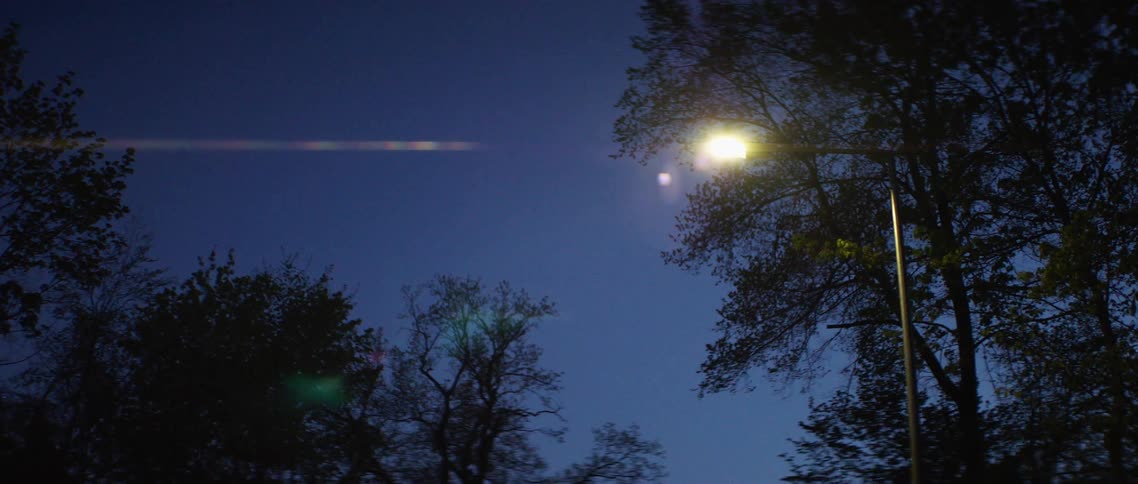 A street lamp throws off a flare in the forest