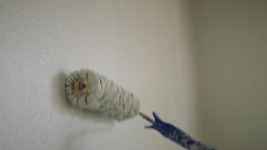 Paint roller painting a wall indoors