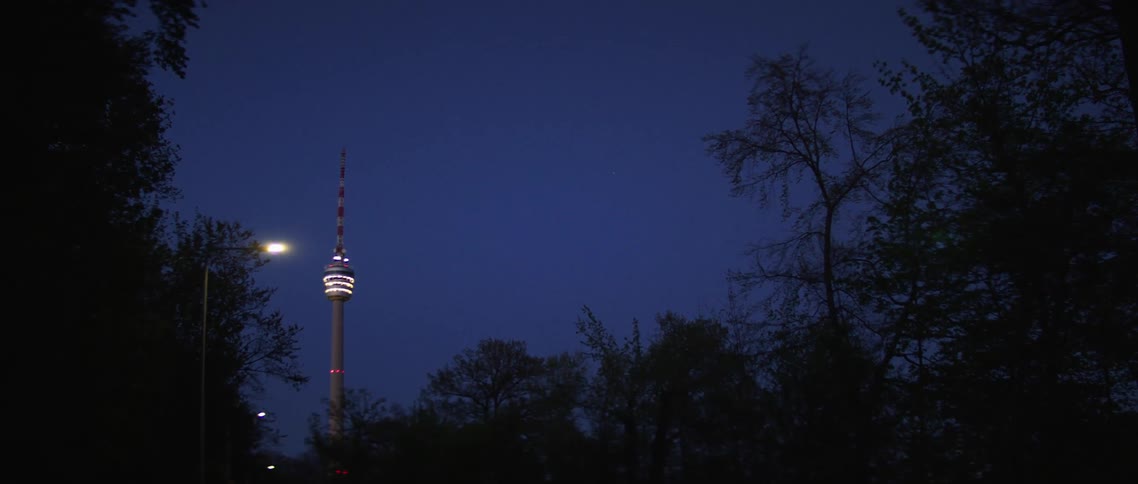 A tower behind trees