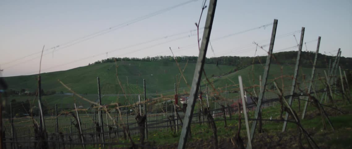 Farmland and vineyard with bare vines