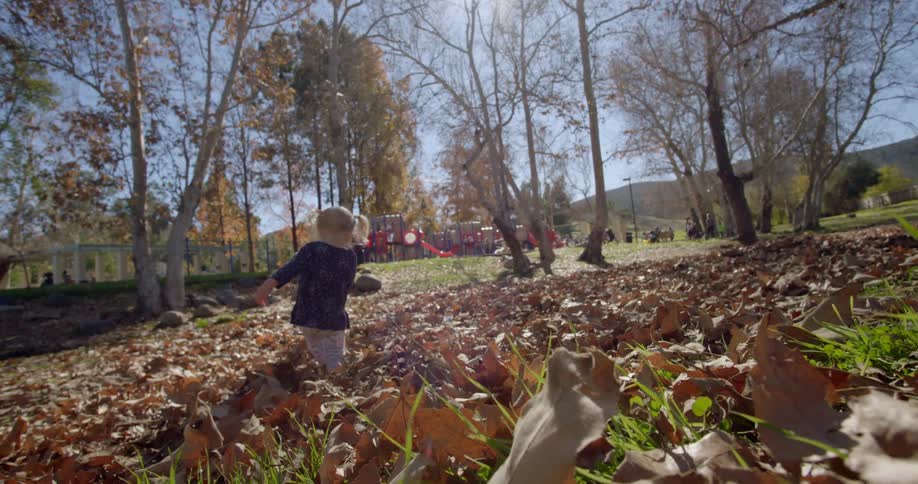 A little girl walks through kneedeep leaves