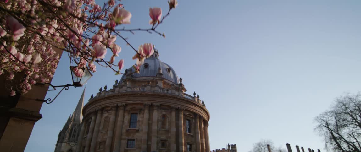 Cherry blossoms and domed building