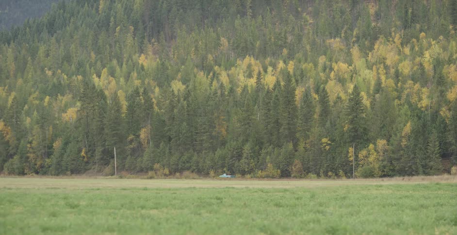 Pickup truck drives on rural road at foot of tree covered mountain
