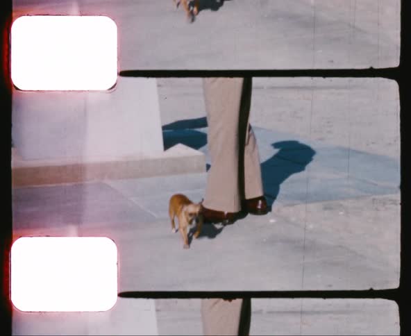 A dog walks up to a military officer in uniform standing near a large sign
