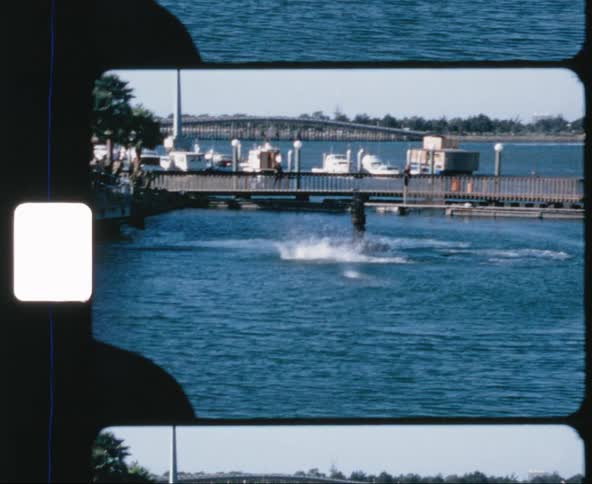 Film footage of dolphins jumping