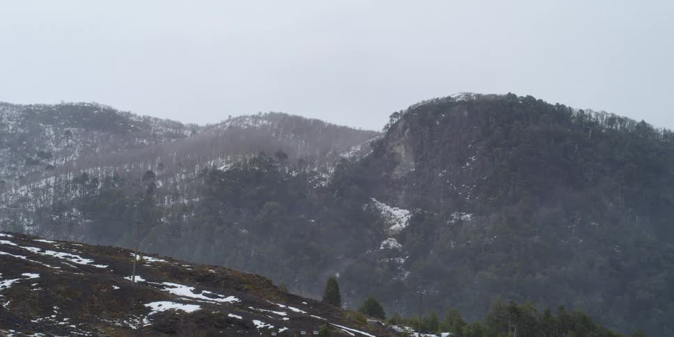 Snowy forests in the mountains