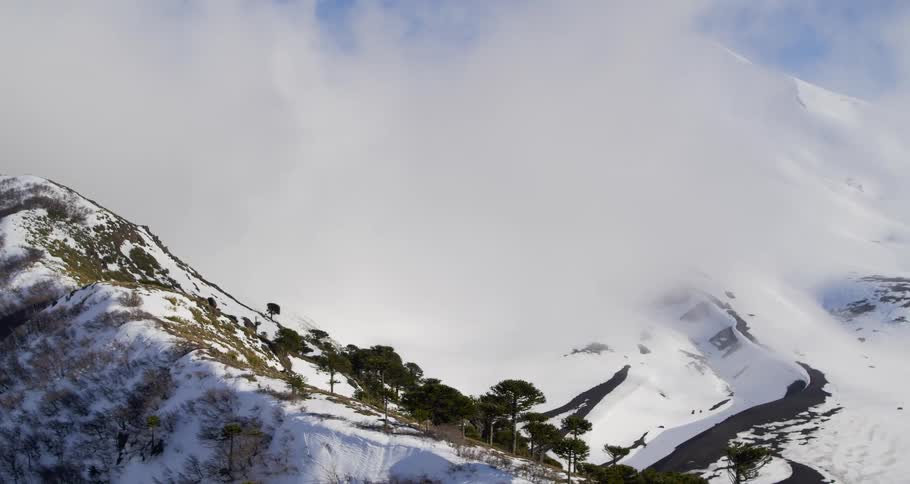Aerial pulling over a mountain ridge with trees