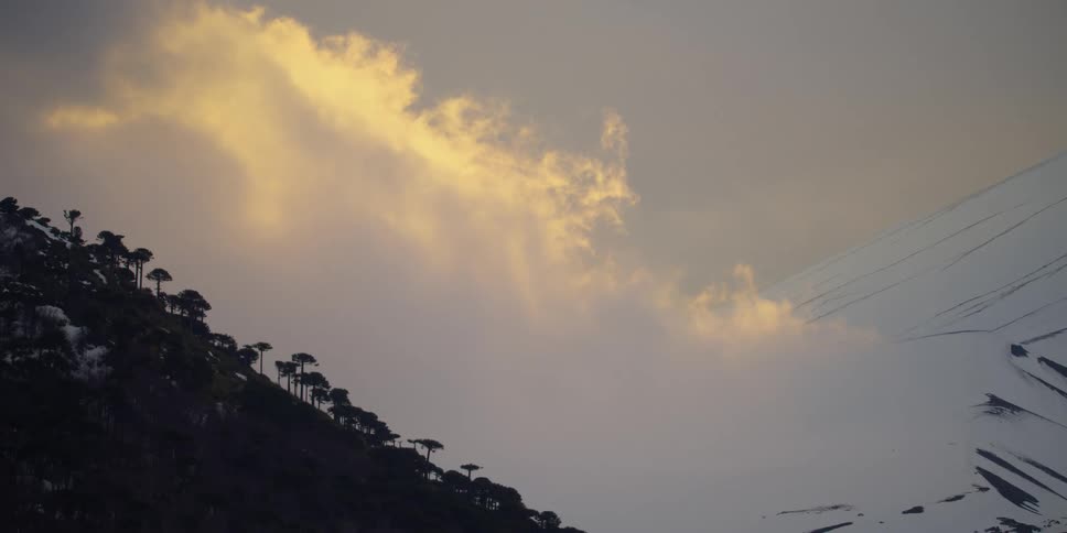 Sunset clouds over a snow covered mountain and trees