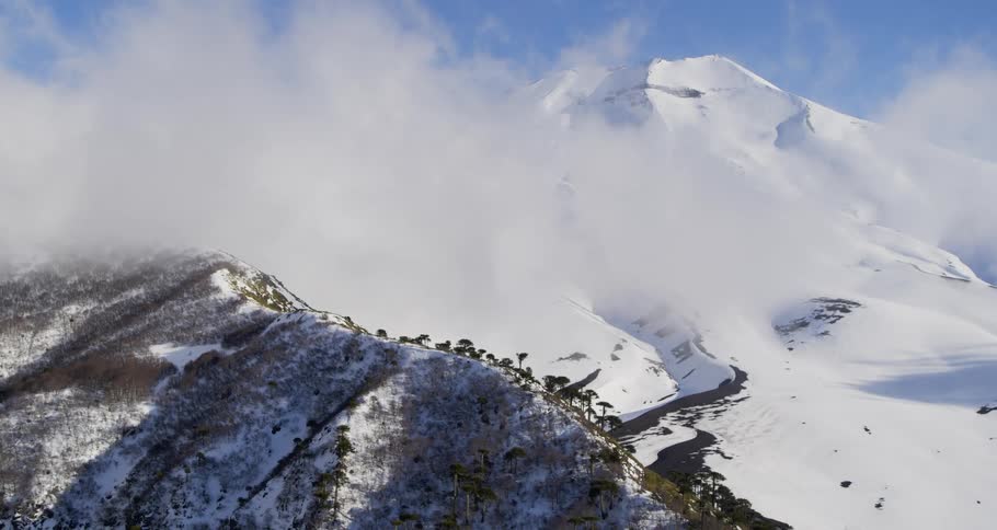 Aerial as clouds hang low over a mountain forest covered in snow