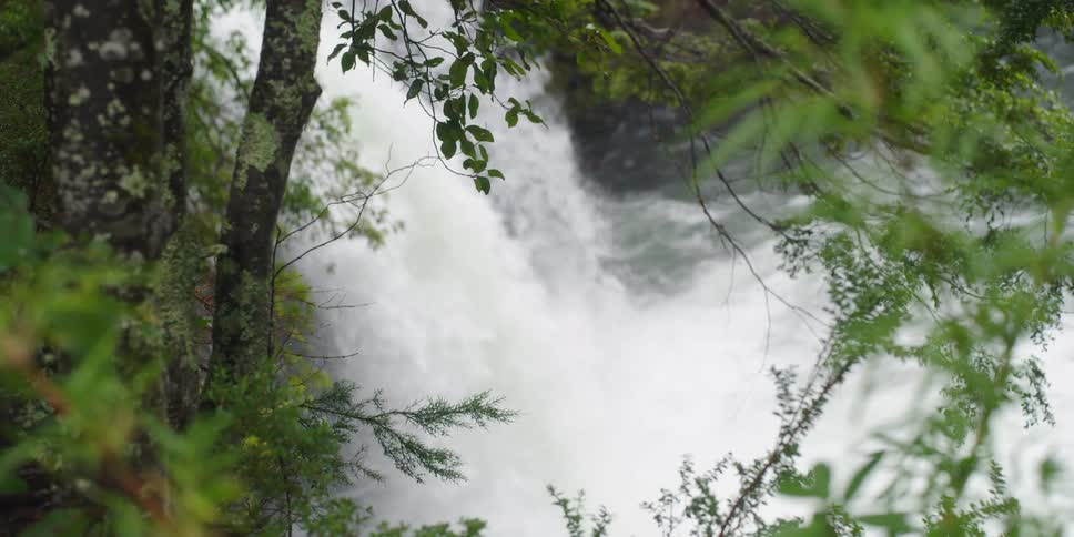 A large waterfall pours into a forested area