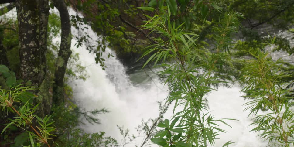A waterfall spills into a river surrounded by green trees