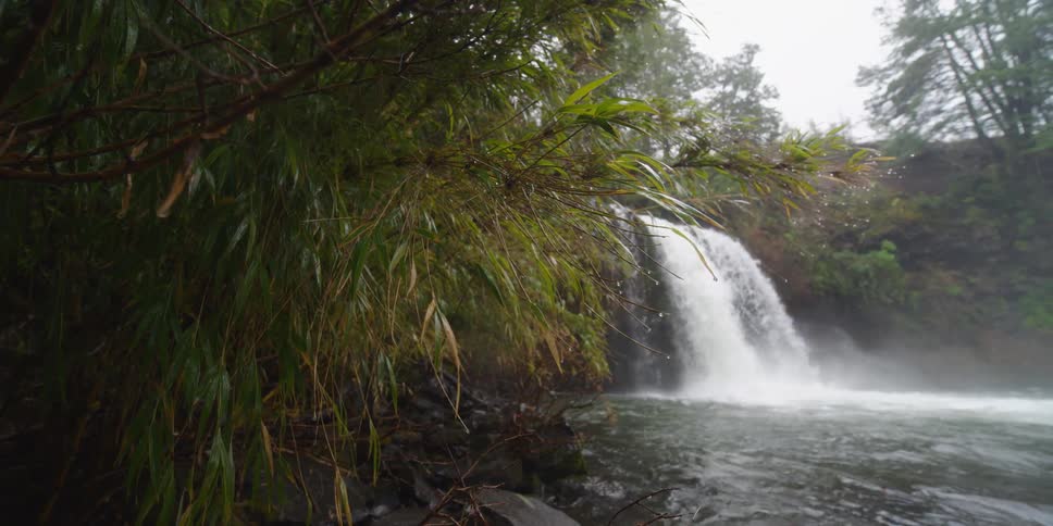 A waterfall in a forest area