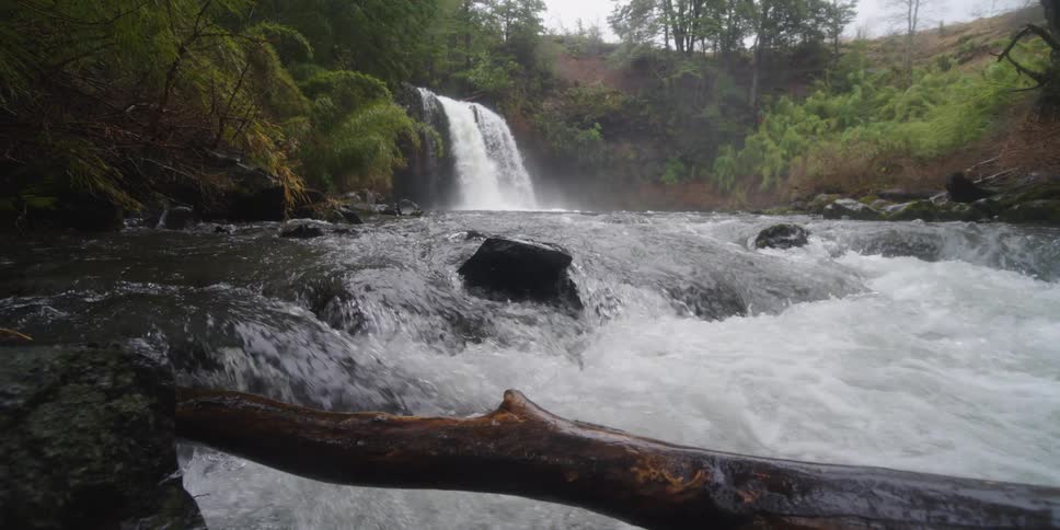 Fast flowing river through forest with waterfall