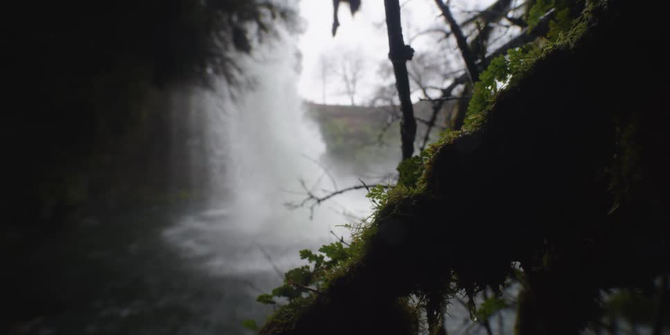 A waterfall flows into a body of water while moss grows on wood