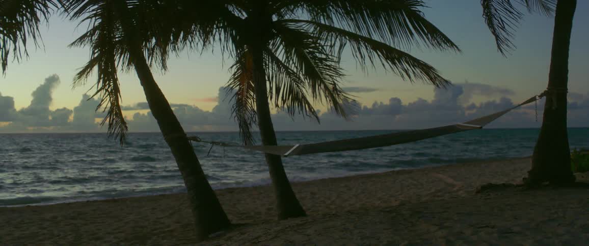 A hammock hangs between palm trees on a beach