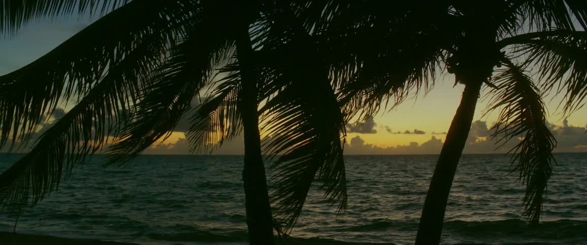 The sun sets over the ocean in the tropics