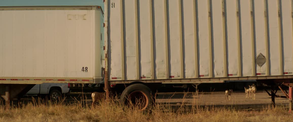 Deer walk around and play near a parked semi truck