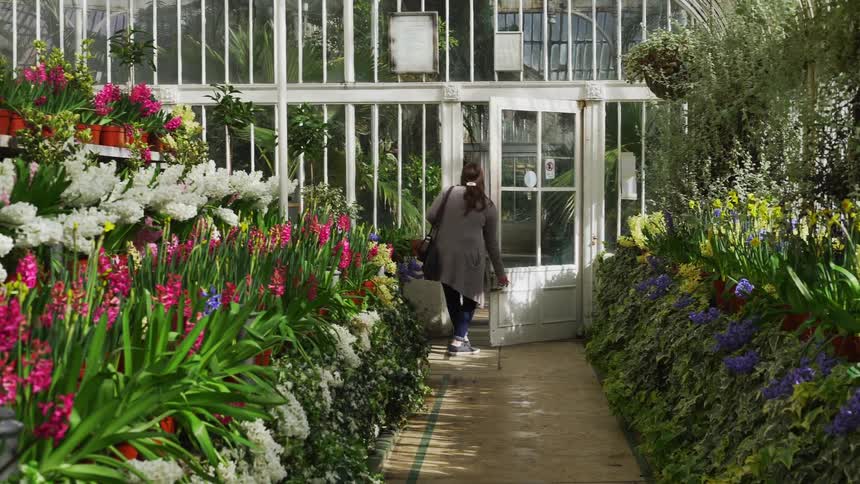 A woman opens the door to a greenhouse leaving rows of flowers behind her