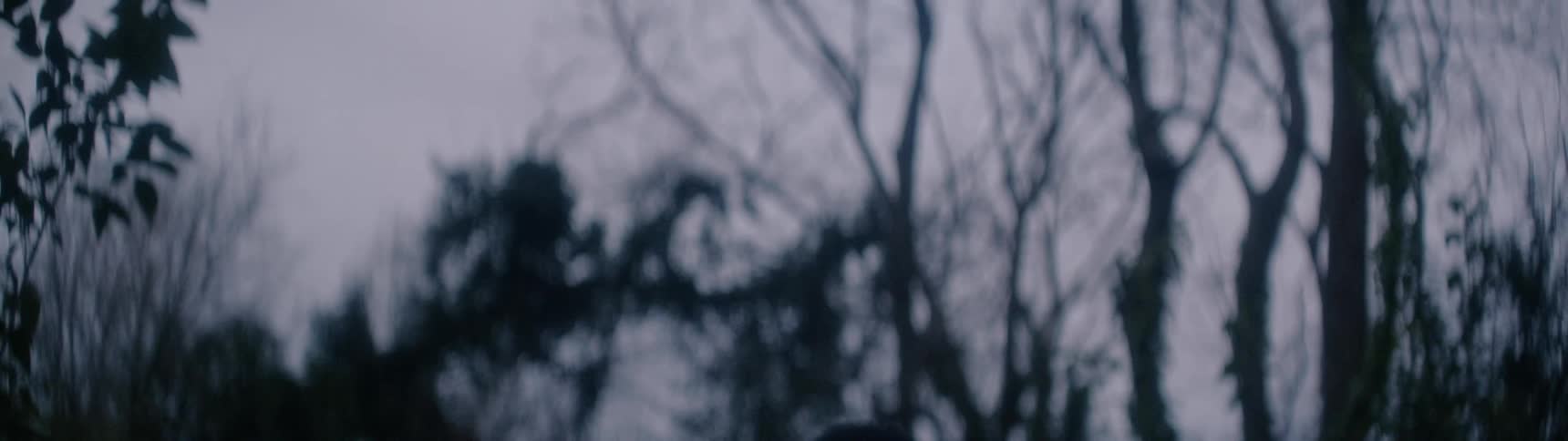 A young man looks around a forest