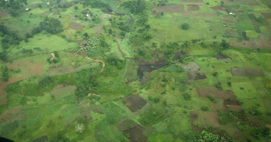 African Savannah
