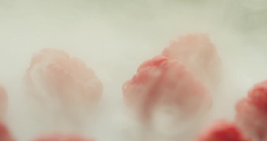 Raspberries engulfed in smoke