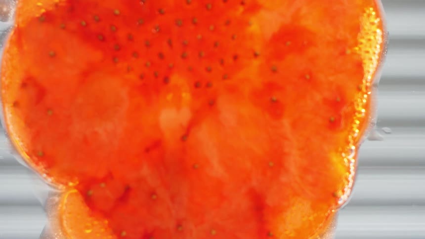 Strawberry falls onto clear surface smashing and spreading