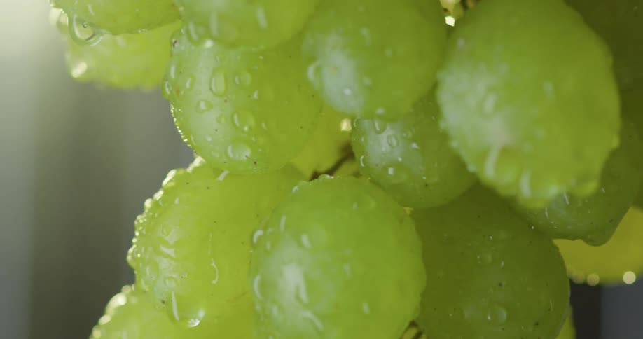 A bundle of green wet grapes spin around