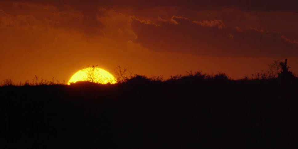 Sun setting over the horizon